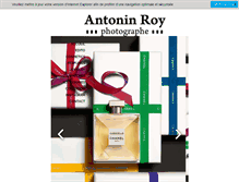 Tablet Screenshot of antoninroy.com